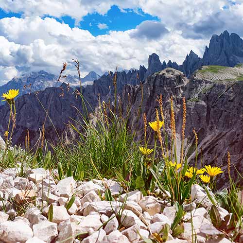 4 Sterne Hotels Dolomiten