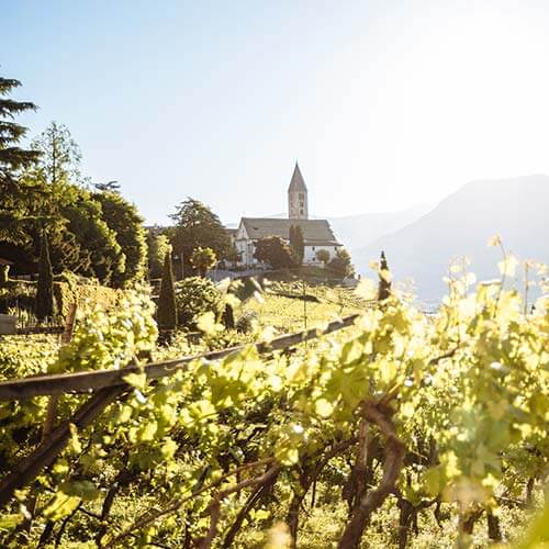 4 Sterne Hotels Südtiroler Weinstraße und Südtirols Süden